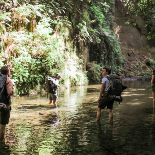 San Francisco Creative Video Production 4