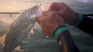 San Francisco Video Production Be Alive Nathan 6